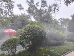 -海兰云天度假区温泉