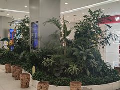 -凯德广场(学府店)