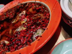 -向外鱼乐·土菜·虹鳟鱼