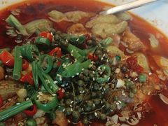 -北京首都机场希尔顿酒店