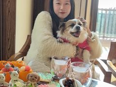 -上海崇明金茂凯悦酒店