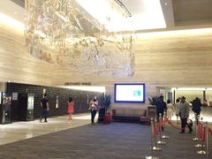 -新加坡乌节希尔顿酒店 (SG Clean)