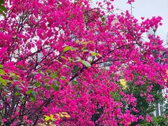 -欧洲房子(宜必思店)