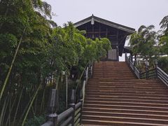 -大唐贡茶院