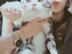 -Goku PET SHOP宠物视觉生活馆(双井店)