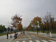 -眉山湿地公园(东坡区)