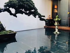 -觀芷隐轩