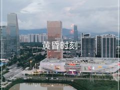 -七彩云南茶(七彩云南第壹城店)