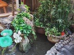 -三道苗苗鱼·美蛙黄辣丁(八里店)