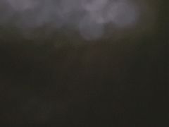 -艾贝尔宠物诊疗