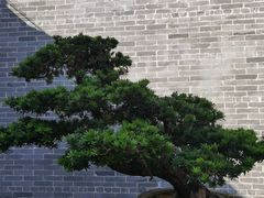 -梁园