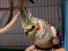 -雨林宠物医院 非犬猫异宠专科