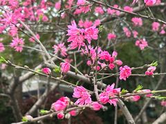 -东湖生态旅游风景区