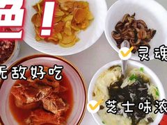 -好孕妈妈月嫂(沈河总店)