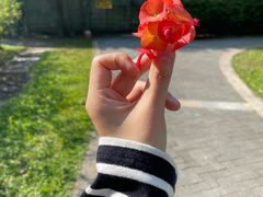-福田红树林生态公园