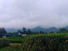 -秦始皇帝陵博物院(兵马俑)