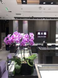 -周大福CHOW TAI FOOK(荟聚购物中心西红门店)