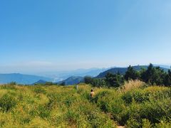 -北京鹫峰国家森林公园