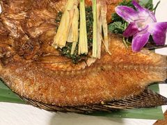 -紫滇源云南生态菜(丹凤街店)