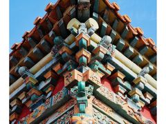 -北陵公园