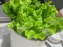 -古乐牛香·鲜牛肉牛杂火锅(吴江三里桥运东商业广场店)