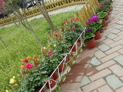 -森居forest休闲咖啡聚集地