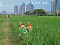 -光明小镇欢乐田园