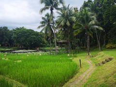 -四季酒店下午茶