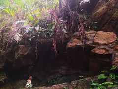 -滴水岩森林公园
