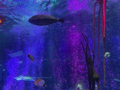 -沈阳海洋探索中心