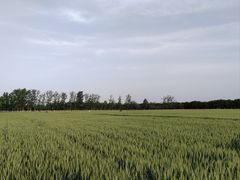 -汉长安城未央宫国家考古遗址公园