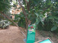 -石家庄市植物园