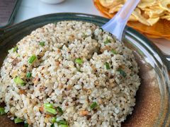 -蘑统田下·野生菌火锅