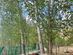 -泸沽湖国家级风景名胜区走婚桥