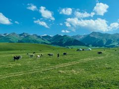 -新疆那拉提国家旅游度假区