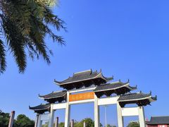 -飞来湖湿地公园