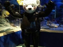-成都泰迪熊博物馆