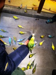 -酷嗒动物文化乐园(cutezoo西溪乐天城店)