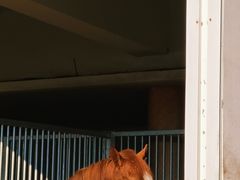 -苏州环秀晓筑养生度假村