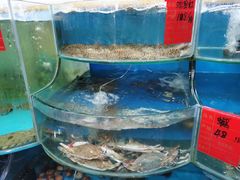 -蟹谢蒸鲜自助餐厅