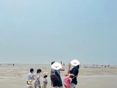 -北海金海湾红树林生态旅游区