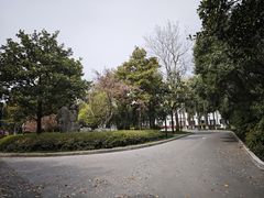 -春兰国宾馆(凤城河风景区老街店)