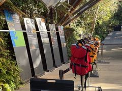 -怀托摩萤火虫洞