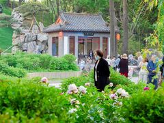 -淄博聊斋城景区
