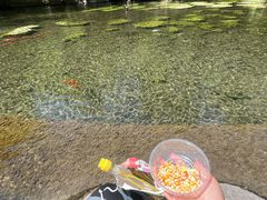 -水磨沟公园