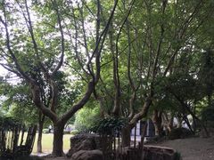 -南通博物苑-崇川人民公园