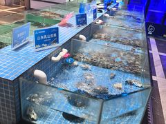 水产区-小天鹅戴斯酒店鲸鲨百汇创作料理
