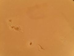 -阿马蛋汤·宁波小海鲜(总店)