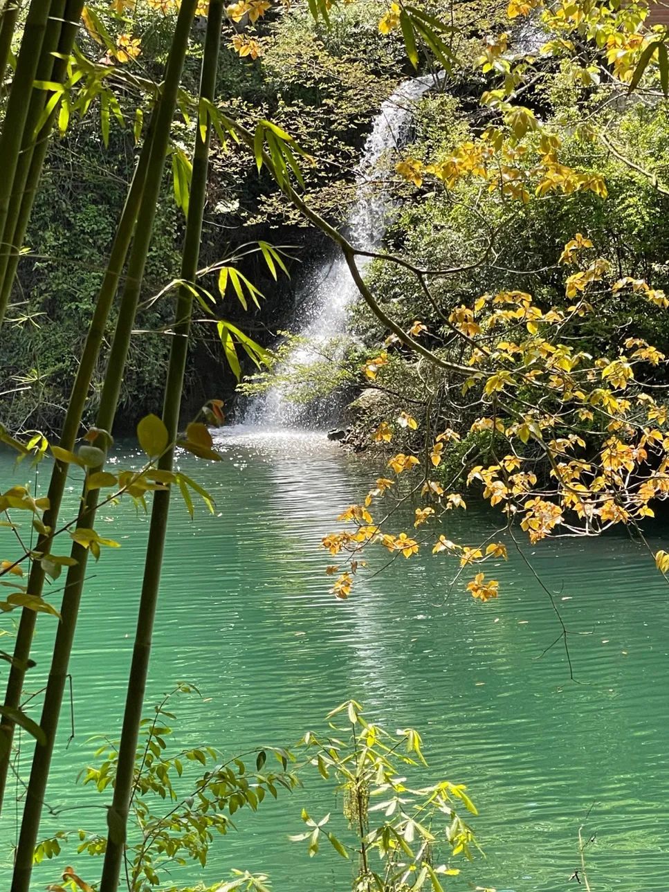 天天领红包周末发现了一个超棒的地方!有美丽的风景,还能放松心情