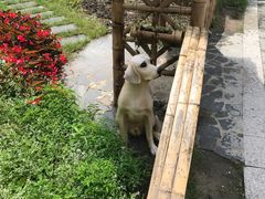 -上海植物园-4号门售票处